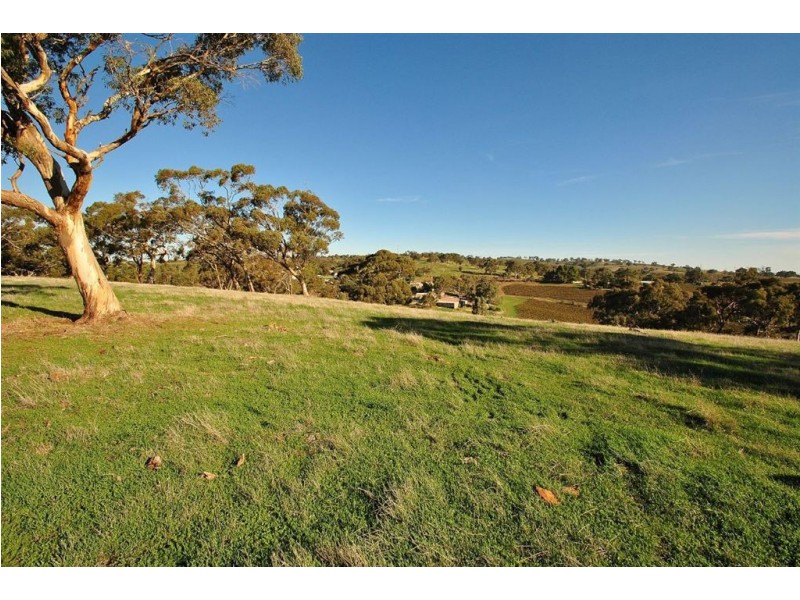Lot 592 Crennis Mines/Radford/Washington Streets, Angaston SA 5353