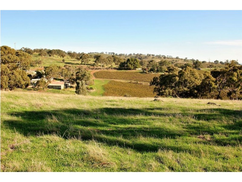 Lot 592 Crennis Mines/Radford/Washington Streets, Angaston SA 5353