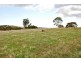 Lot 592 Crennis Mines/Radford/Washington Streets, Angaston SA 5353