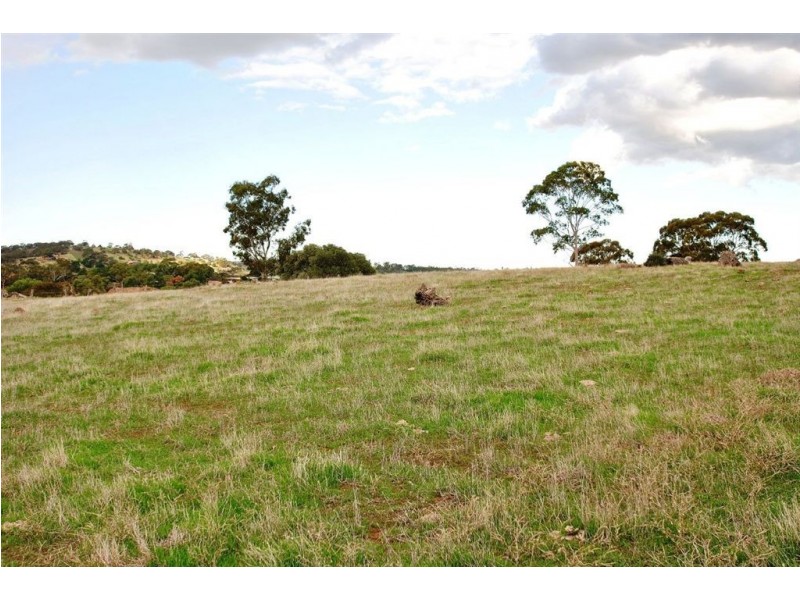 Lot 592 Crennis Mines/Radford/Washington Streets, Angaston SA 5353
