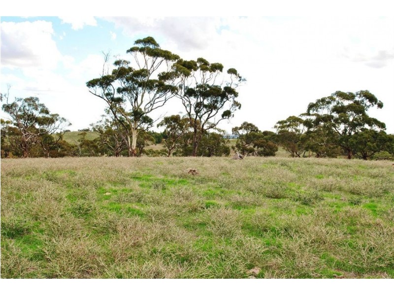 Lot 592 Crennis Mines/Radford/Washington Streets, Angaston SA 5353