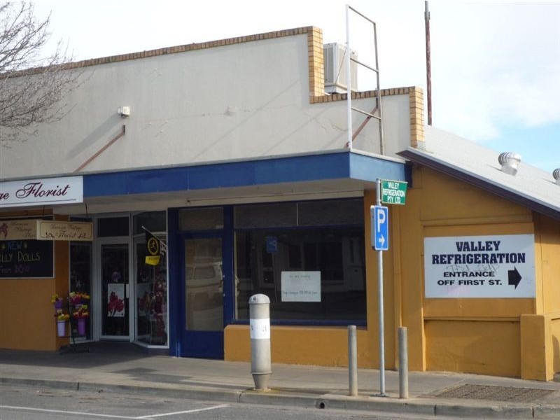 43 Murray Street, Nuriootpa SA 5355