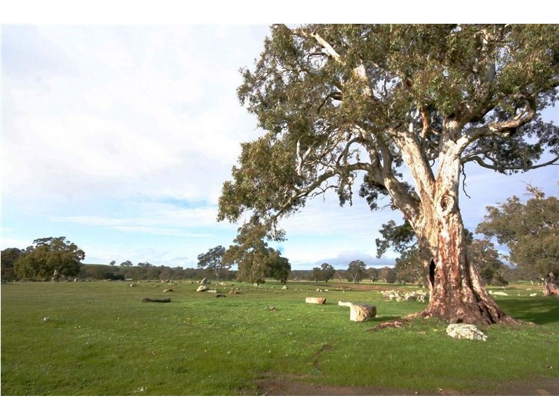 Lot 19 Craneford Road, Eden Valley SA 5235