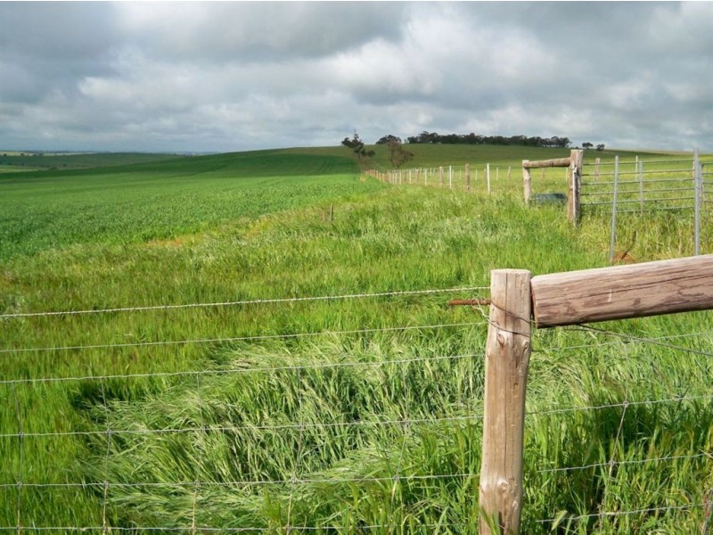 Lot 676 Peltz Road, Bethel SA 5373