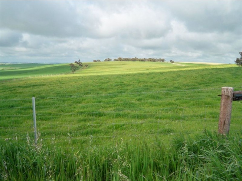 Lot 676 Peltz Road, Bethel SA 5373