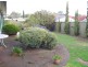 54 Murray Road, Willaston SA 5118
