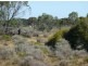 Lot 31 Park Road, Blanchetown SA 5357