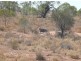 Lot 31 Park Road, Blanchetown SA 5357