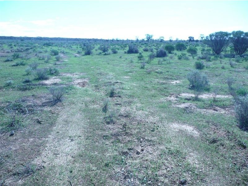 Lot 31 Park Road, Blanchetown SA 5357
