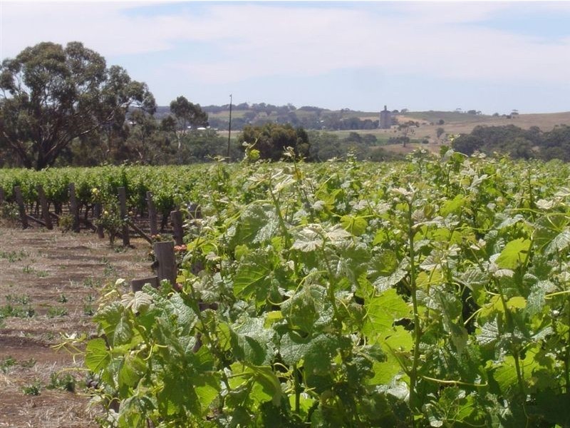 Lot 592 Kalimna & Waetchers Road, Light Pass SA 5355