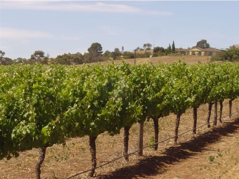 Lot 592 Kalimna & Waetchers Road, Light Pass SA 5355