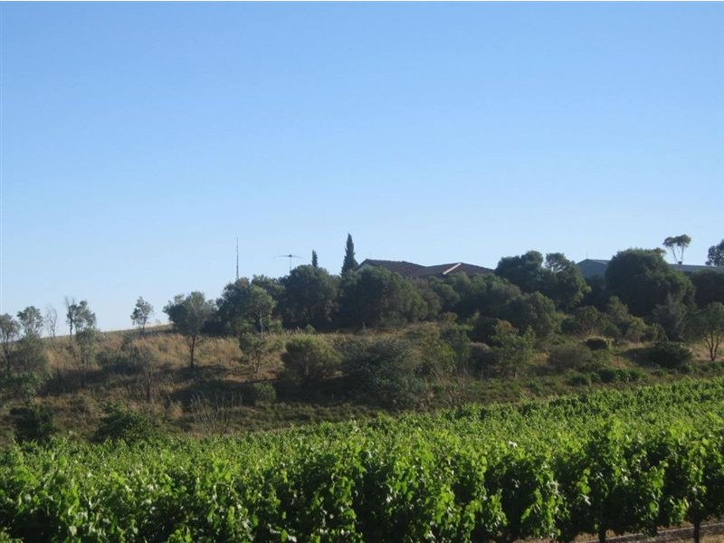 Lot 592 Kalimna & Waetchers Road, Light Pass SA 5355