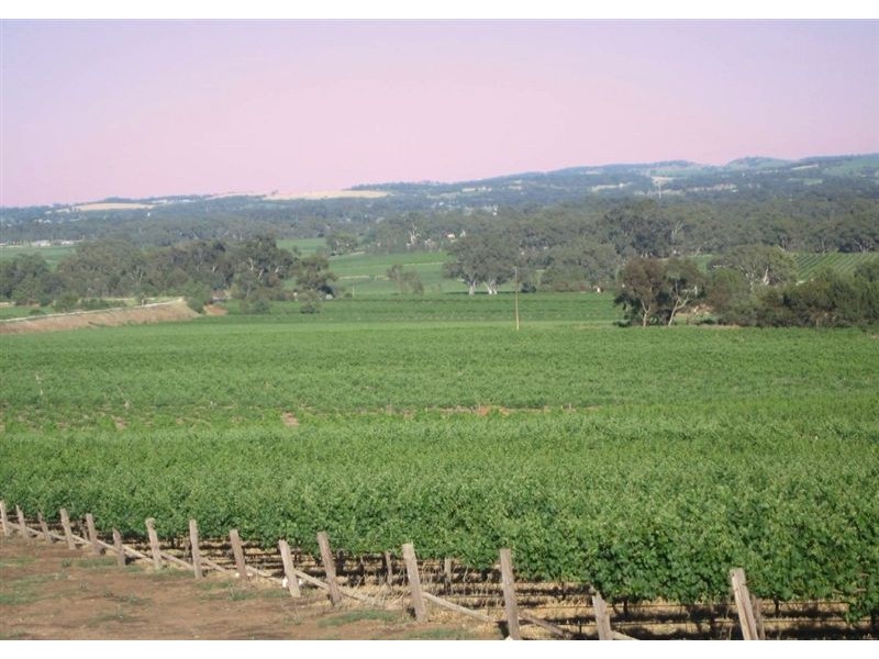 Lot 592 Kalimna & Waetchers Road, Light Pass SA 5355