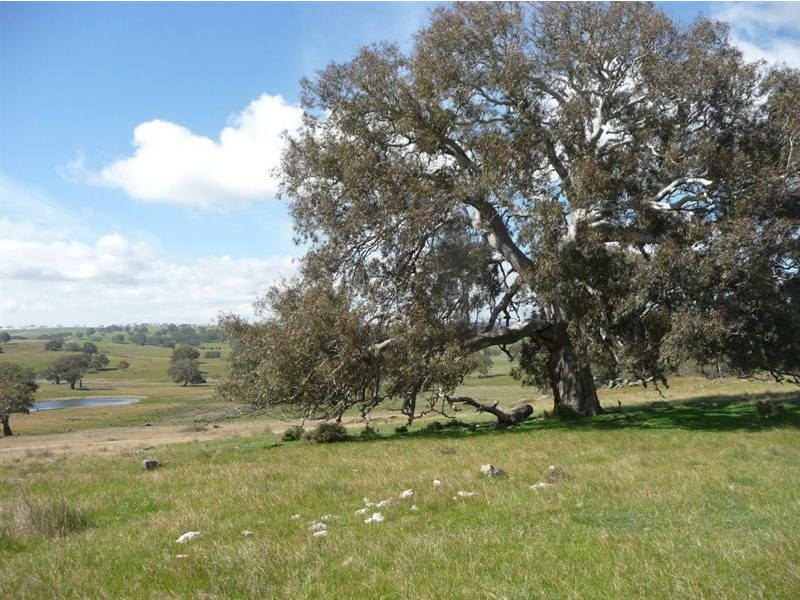 Lot 202 Corryton Park Road, Pewsey Vale, Williamstown SA 5351