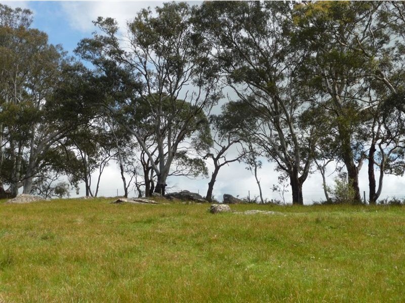 Lot 202 Corryton Park Road, Pewsey Vale, Williamstown SA 5351