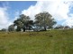 Lot 202 Corryton Park Road, Pewsey Vale, Williamstown SA 5351