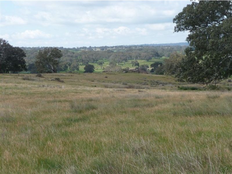 Lot 202 Corryton Park Road, Pewsey Vale, Williamstown SA 5351