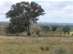 Lot 201 Corryton Park Road, Pewsey Vale, Williamstown SA 5351