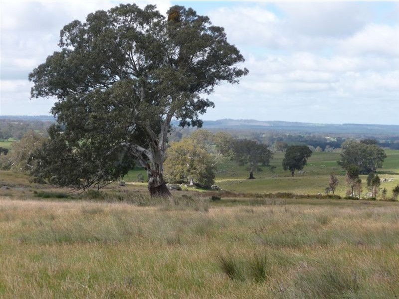 Lot 201 Corryton Park Road, Pewsey Vale, Williamstown SA 5351