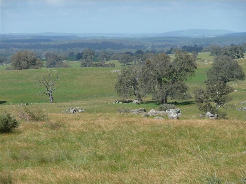 Lot 201 Corryton Park Road, Pewsey Vale, Williamstown SA 5351