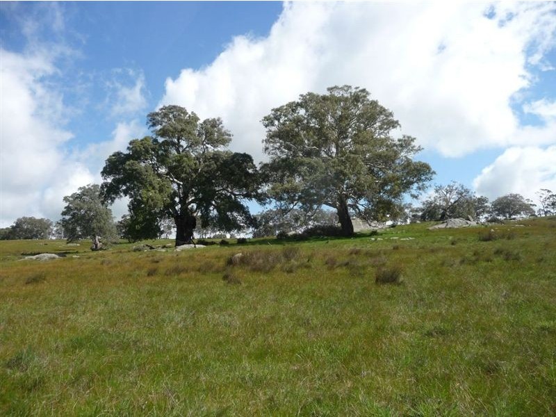 Lot 201 Corryton Park Road, Pewsey Vale, Williamstown SA 5351