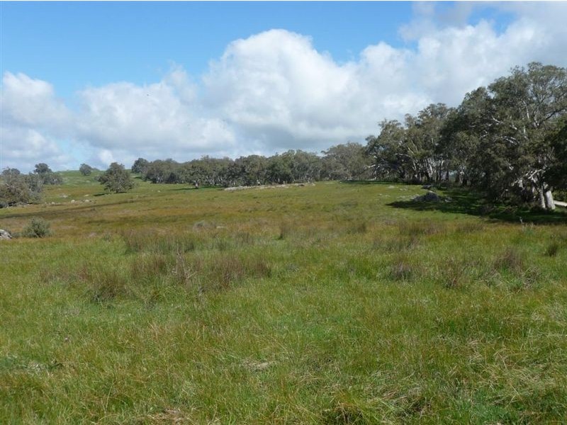 Lot 201 Corryton Park Road, Pewsey Vale, Williamstown SA 5351