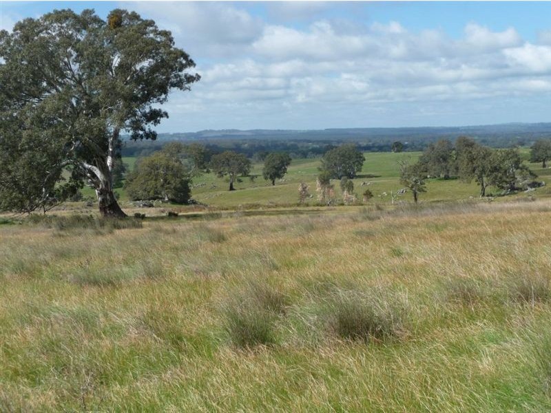 Lot 201 Corryton Park Road, Pewsey Vale, Williamstown SA 5351