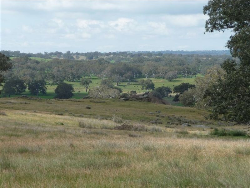 Lot 201 Corryton Park Road, Pewsey Vale, Williamstown SA 5351