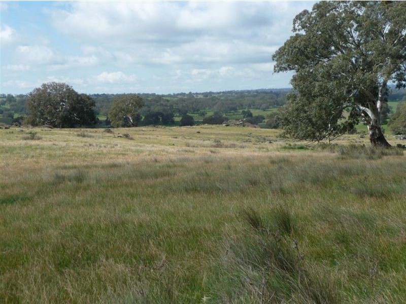 Lot 201 Corryton Park Road, Pewsey Vale, Williamstown SA 5351