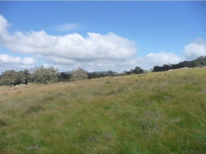 Lot 201 Corryton Park Road, Pewsey Vale, Williamstown SA 5351