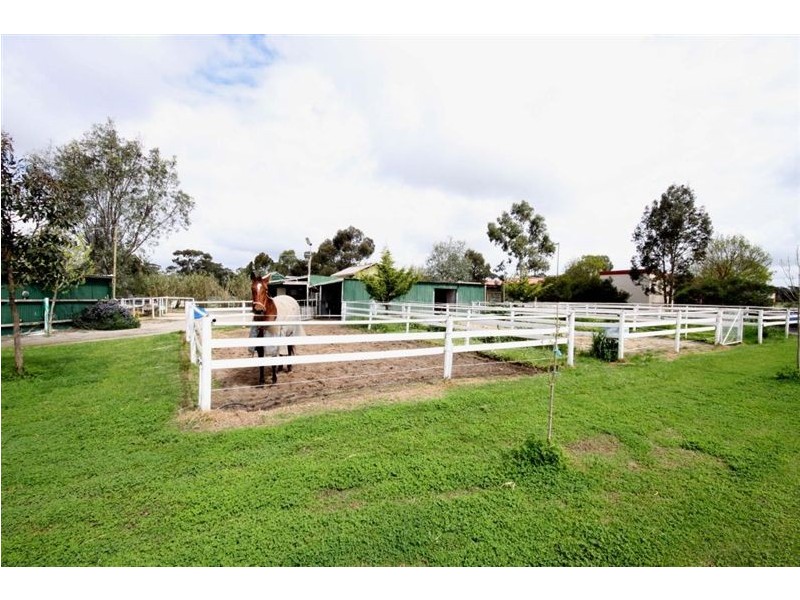 9 Milway Avenue, Nuriootpa SA 5355