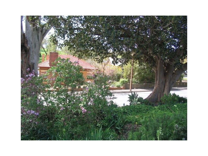 101 Murray Street, Angaston SA 5353