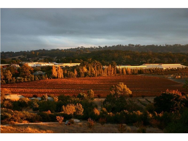 61A North Street, Angaston SA 5353