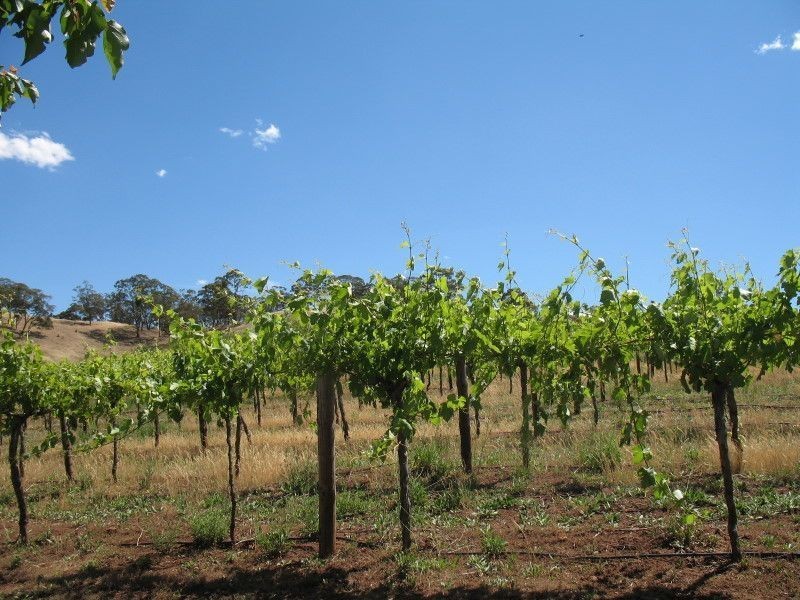 11 Gawler Park Road, Angaston SA 5353