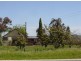 Lot 219 Stockwell Road, Angaston SA 5353