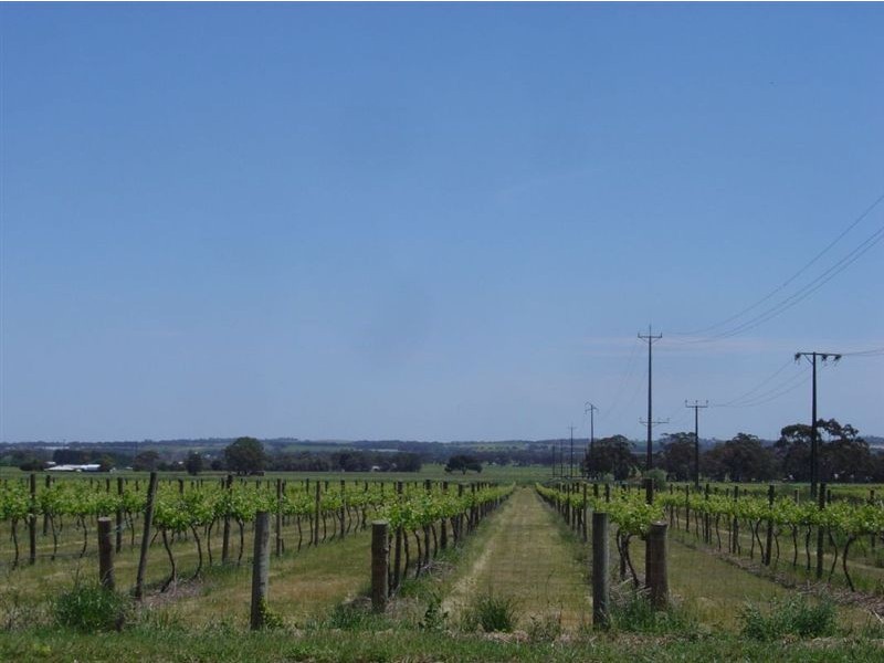 Lot 219 Stockwell Road, Angaston SA 5353