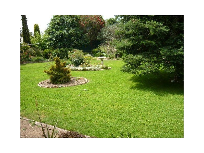 9 Staehr Street, Nuriootpa SA 5355