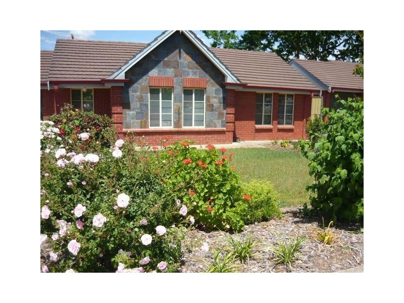 6/24 Elizabeth Street, Tanunda SA 5352
