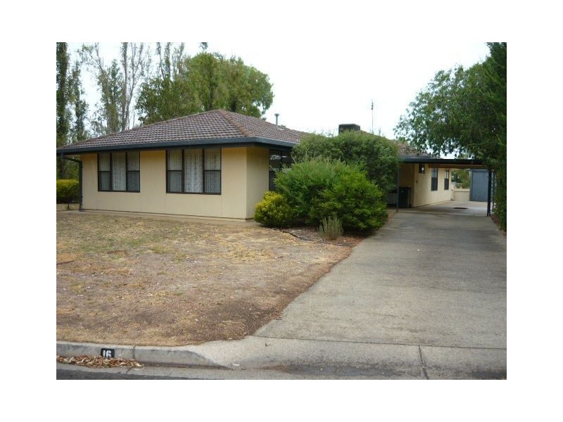 16 Armstrong Avenue, Nuriootpa SA 5355