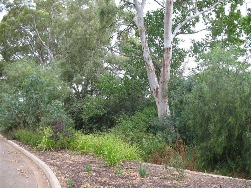 Lot 10 Wild Cherry Lane, Tanunda SA 5352