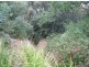 Lot 10 Wild Cherry Lane, Tanunda SA 5352