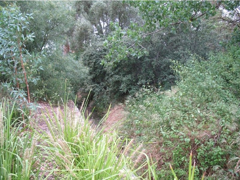 Lot 10 Wild Cherry Lane, Tanunda SA 5352