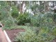 Lot 10 Wild Cherry Lane, Tanunda SA 5352