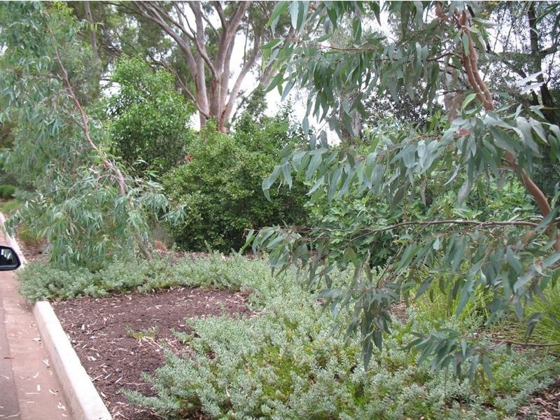 Lot 10 Wild Cherry Lane, Tanunda SA 5352