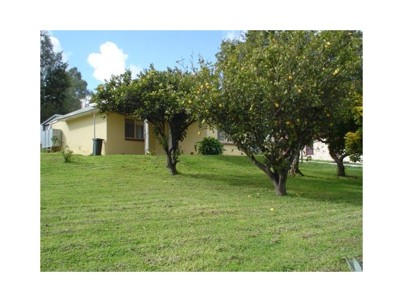 8 Moculta Road, Angaston SA 5353