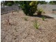 35 Hatch Street, Nuriootpa SA 5355