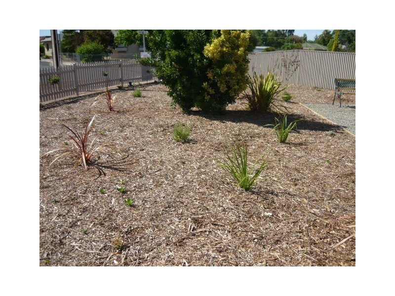 35 Hatch Street, Nuriootpa SA 5355