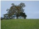 7a Yalumba Terrace, Angaston SA 5353
