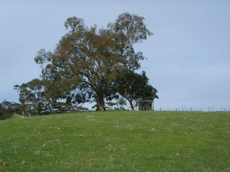 7a Yalumba Terrace, Angaston SA 5353