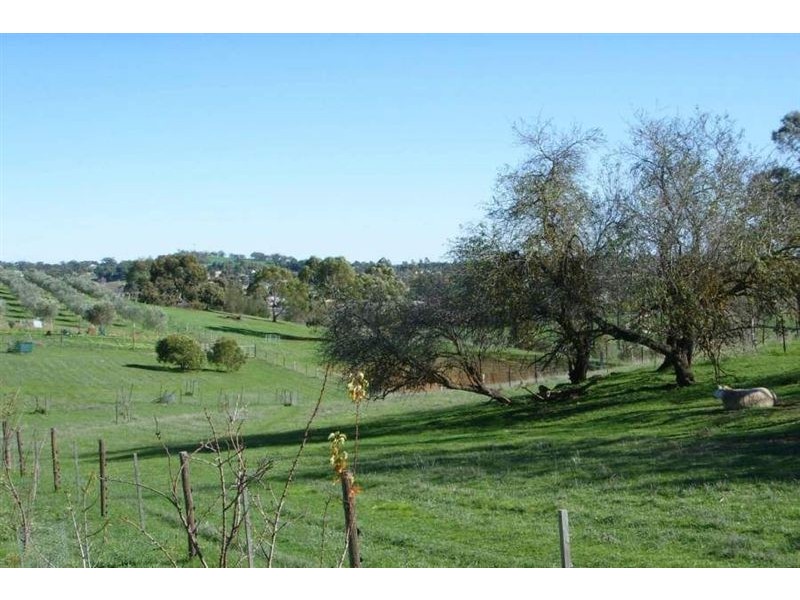 7a Yalumba Terrace, Angaston SA 5353
